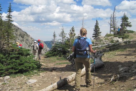 Where to go and what to see: 406 edition